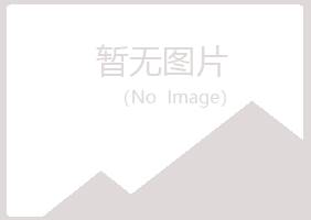 南阳夏岚冶炼有限公司